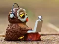 The-Wise-Owl-and-the-Mischievous-Social-Media-Post